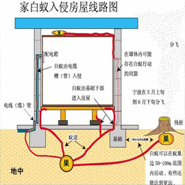 文章附图